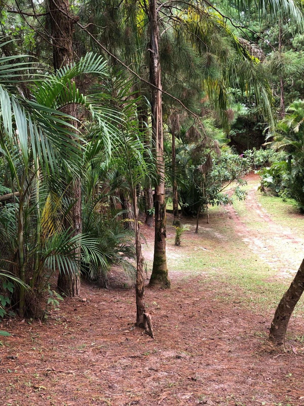 Espaco Serra Do Trovao Lodge Lavras Novas